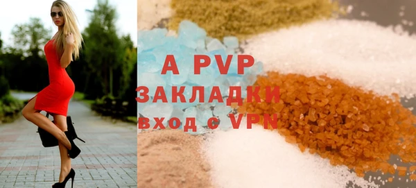 индика Козельск