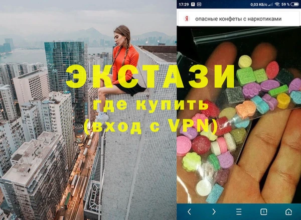 индика Козельск