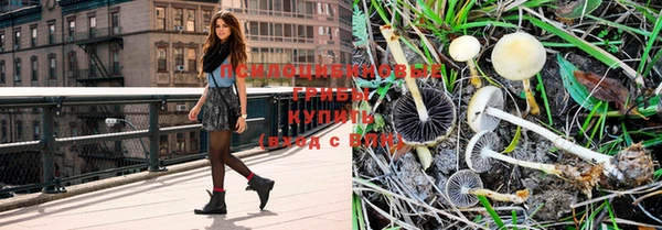 дурь Кодинск