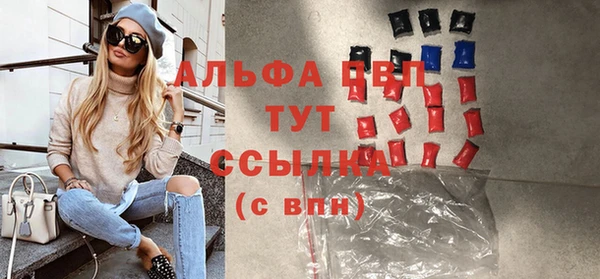 индика Козельск