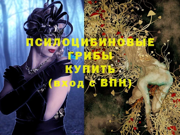 дурь Кодинск