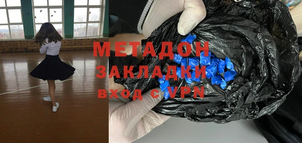 индика Козельск
