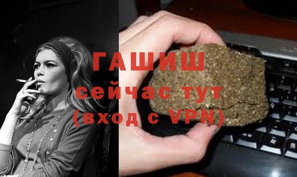 индика Козельск
