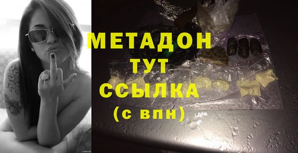 индика Козельск