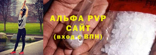 индика Козельск