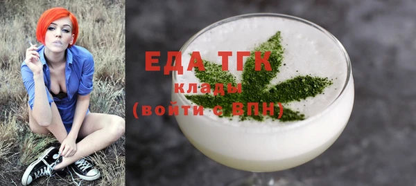 индика Козельск