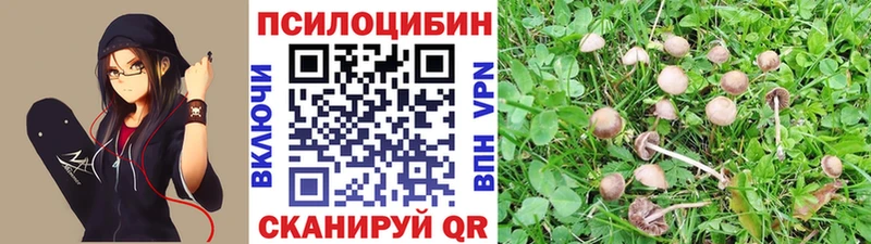 Галлюциногенные грибы Psilocybe  МЕГА ТОР  Красный Кут  купить наркотики цена 